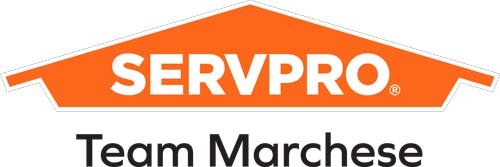 servpro-team-marchese-logo-2024-mda-golf